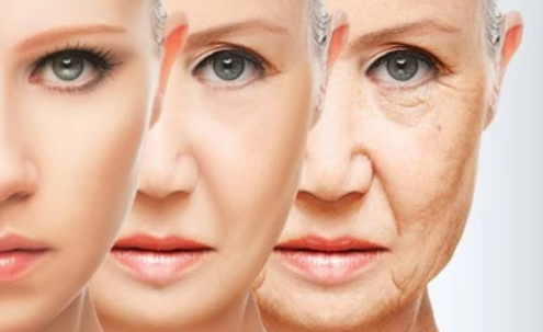 동안의 공통점은 유전이 아니다: 멘탈 + 루틴 + 감정 관리의 결과