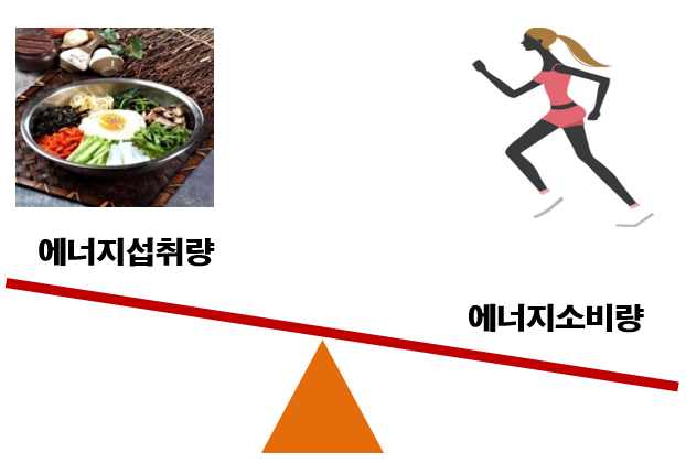 음의 에너지 균형