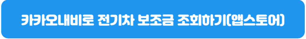 카카오내비-전기차-보조금