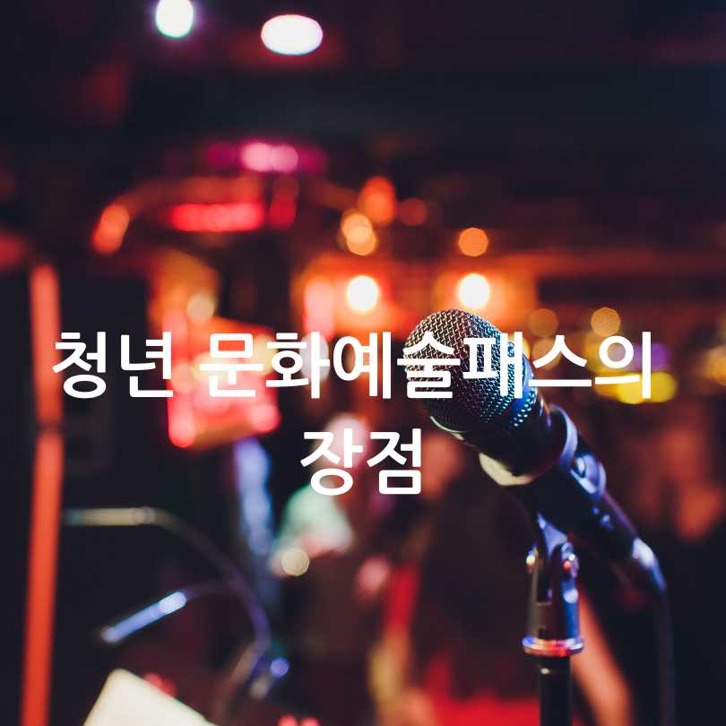 청년 문화예술패스