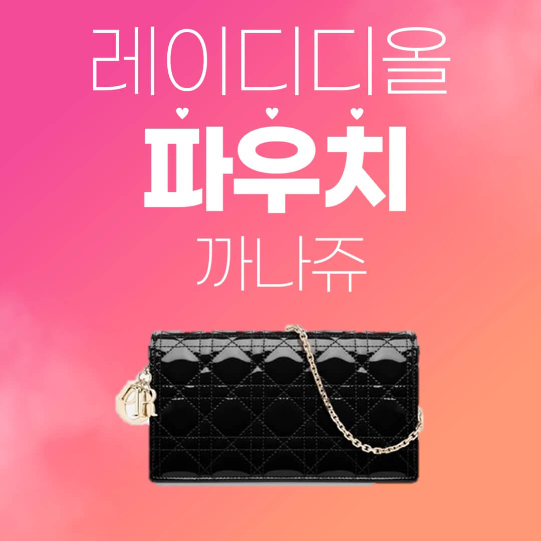 레이디 디올 파우치