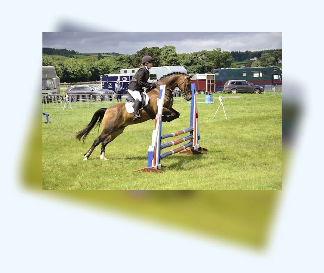 공인중개사 시험 경쟁 심화_3_subsection