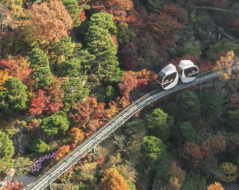 2025 화담숲 단풍축제 예약 완벽 가이드 &amp;#124; 절정시기&middot;꿀팁 총정리