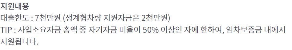창업자금 대출