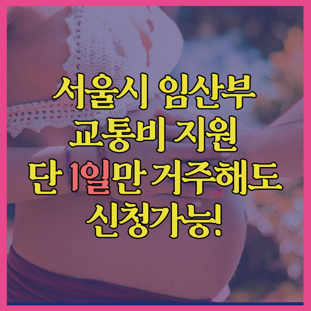 서울시임산부교통비지원사업&#44; 지원대상&#44; 지원금액&#44; 서울거주&#44; 외국인임산부&#44; 신청방법&#44; 본인명의카드