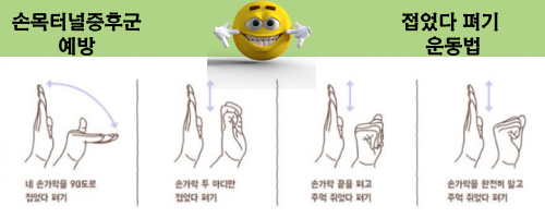 손목터널증후군 접었다폇다 예방운동
