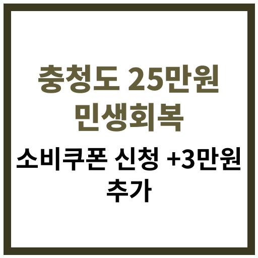 충청도 주민을 위한 2025 민생회복 소비쿠폰 신청 방법과 추가 지원금 정보 안내