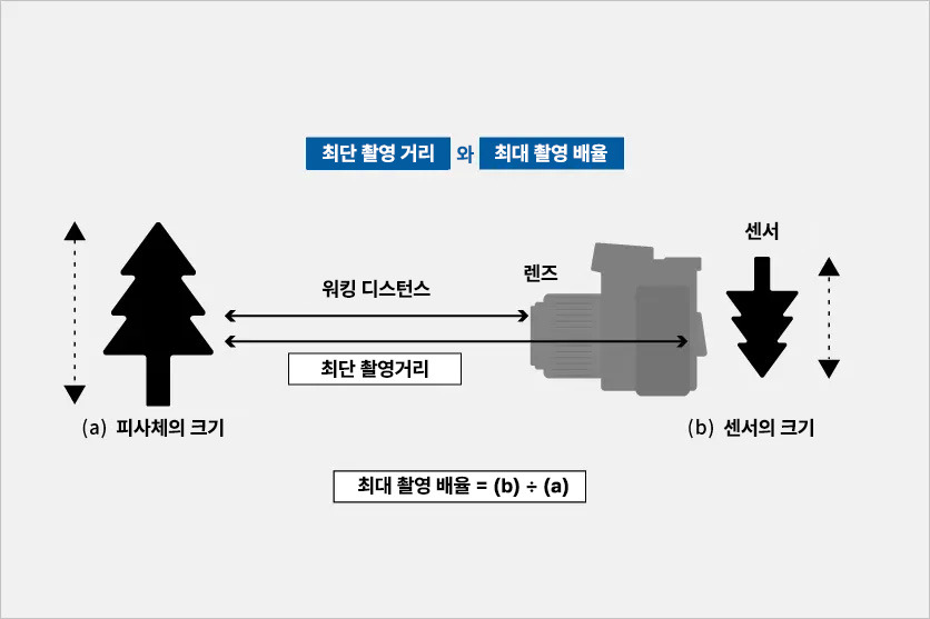 최단 촬영 거리 및 최대 촬영 배율의 개념을 설명하는 이미지
