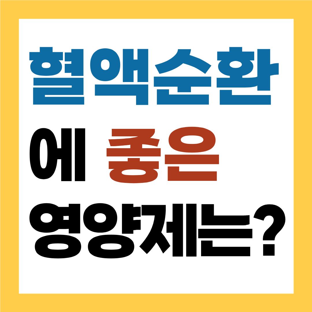 혈액순환에 좋은 영양제 BEST 6