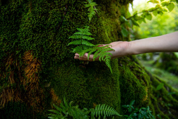 나는 내가 과거의 상처 속에 머물러 있다는 걸 몰랐습니다