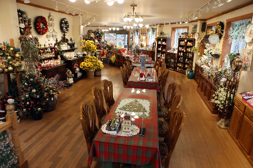 포천허브아일랜드핑크뮬리축제