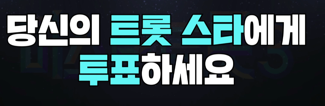 투표