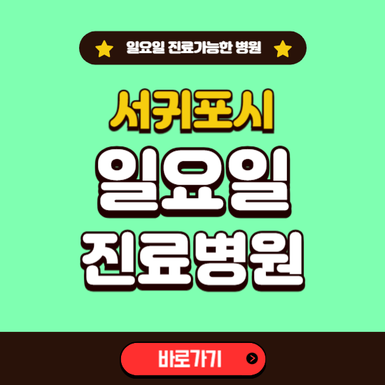 서귀포시 일요일 진료 가능한 병원 ❘ 주말 문여는 곳 총정리 (소아과, 내과, 안과, 치과, 피부과, 정형외과, 산부인과)