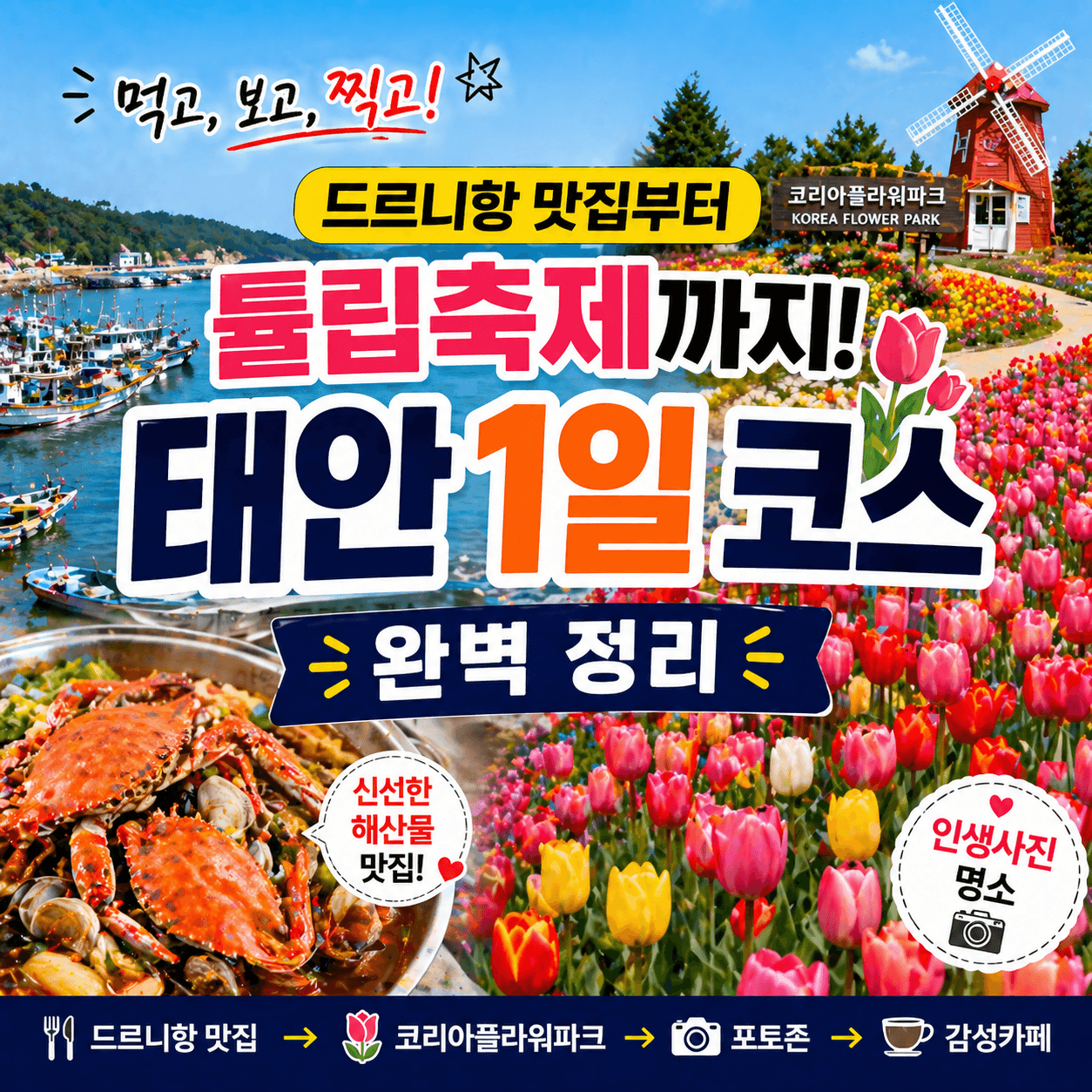 드르니항 맛집부터 튤립축제까지, 태안 1일 코스 총정리