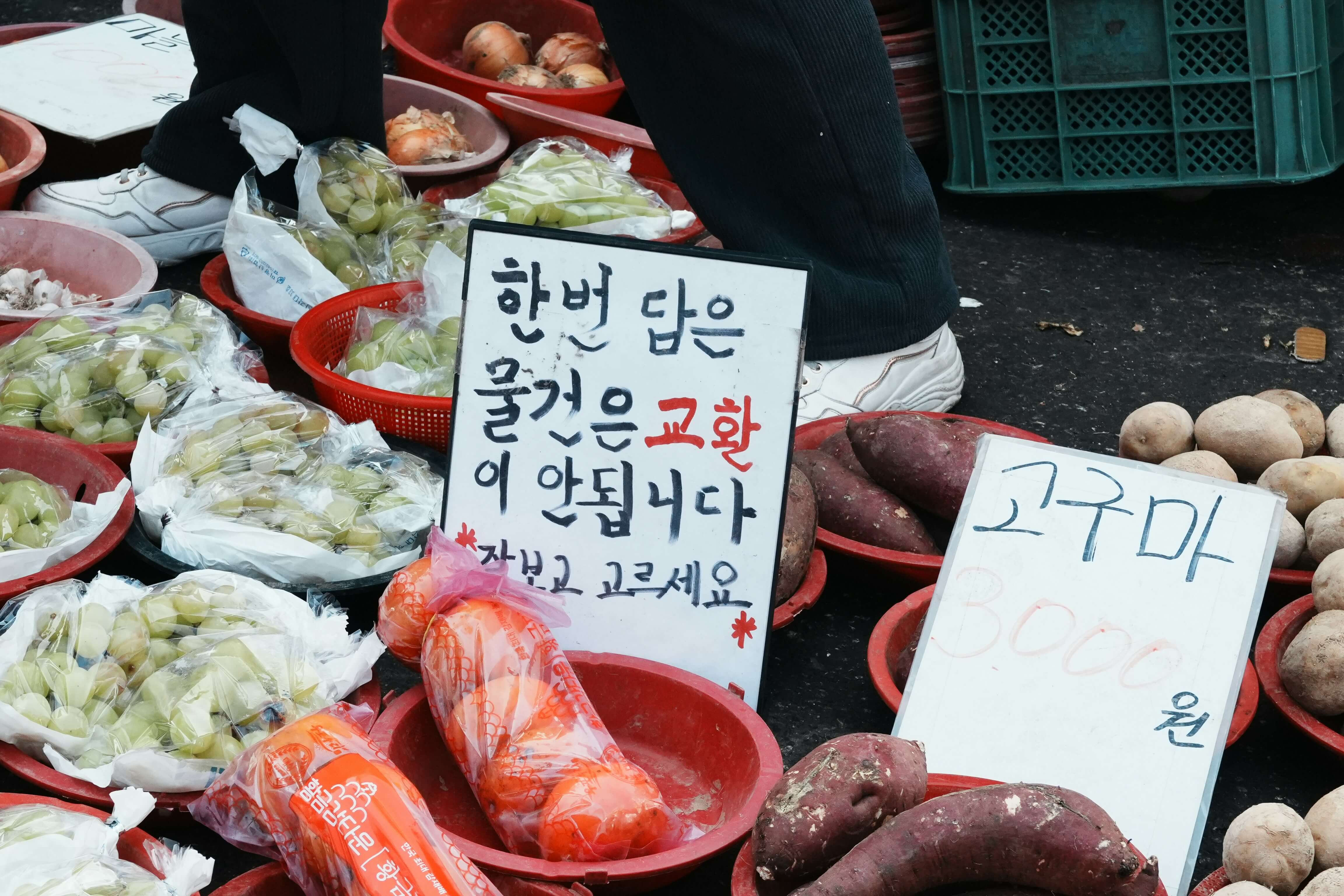 추석 민생지원금 신청