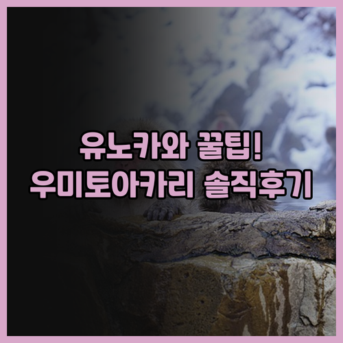 하코다테 유노카와 온천 우미 토 아카..