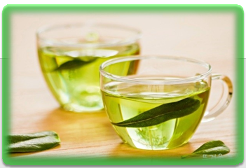 스트레스 해소에 좋은 음식 녹차
