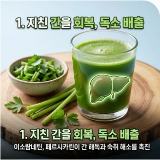 미나리 효능
