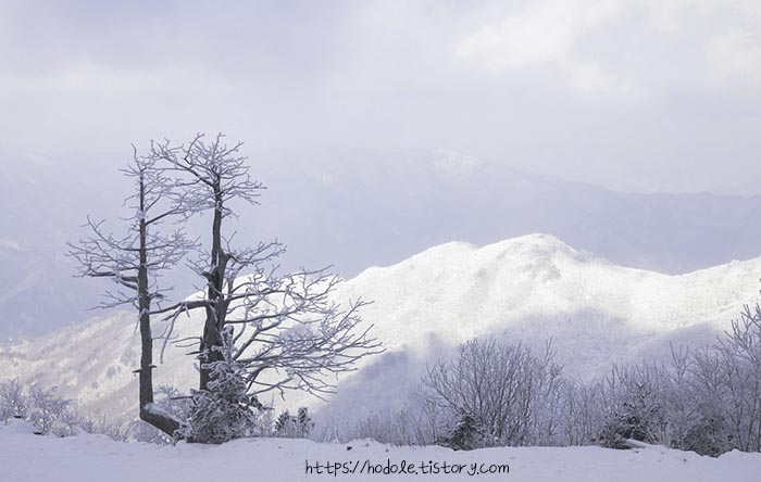 눈오는풍경사진