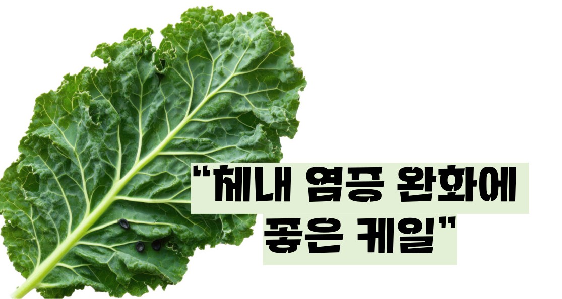 케일 효능