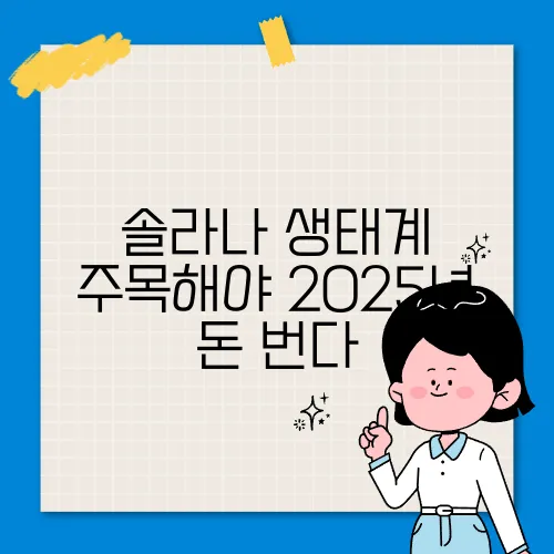 솔라나 생태계 주목해야 2025년 돈 번다