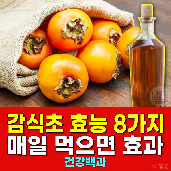 감식초효능 감식초매일먹으면