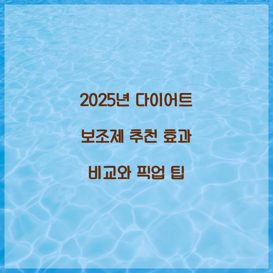다이어트 보조제 추천