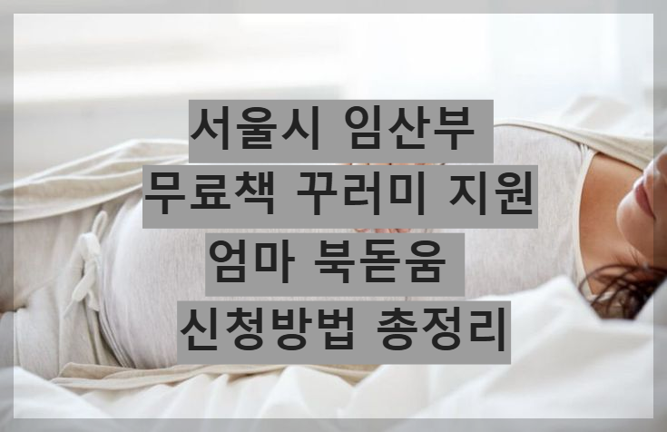 서울시 임산부 무료책 꾸러미 지원 엄마 북돋움 신청방법