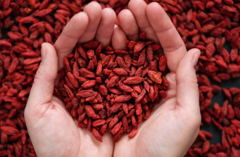 구기자 효능&amp;#44; 효능과 부작용&amp;#44; 먹는법 총정리 (2024ver)