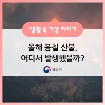 봄철 강풍 꽃가루 농도 알레르기 마스크 관리_10