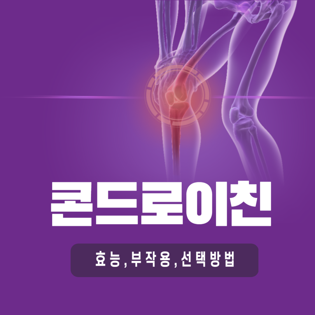 콘드로이친