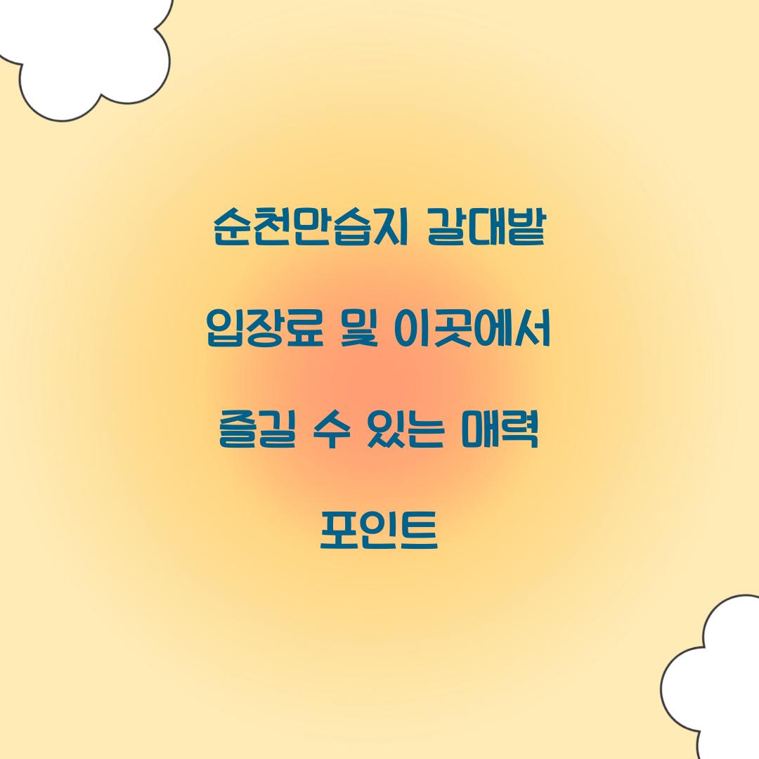 순천만습지 갈대밭 입장료