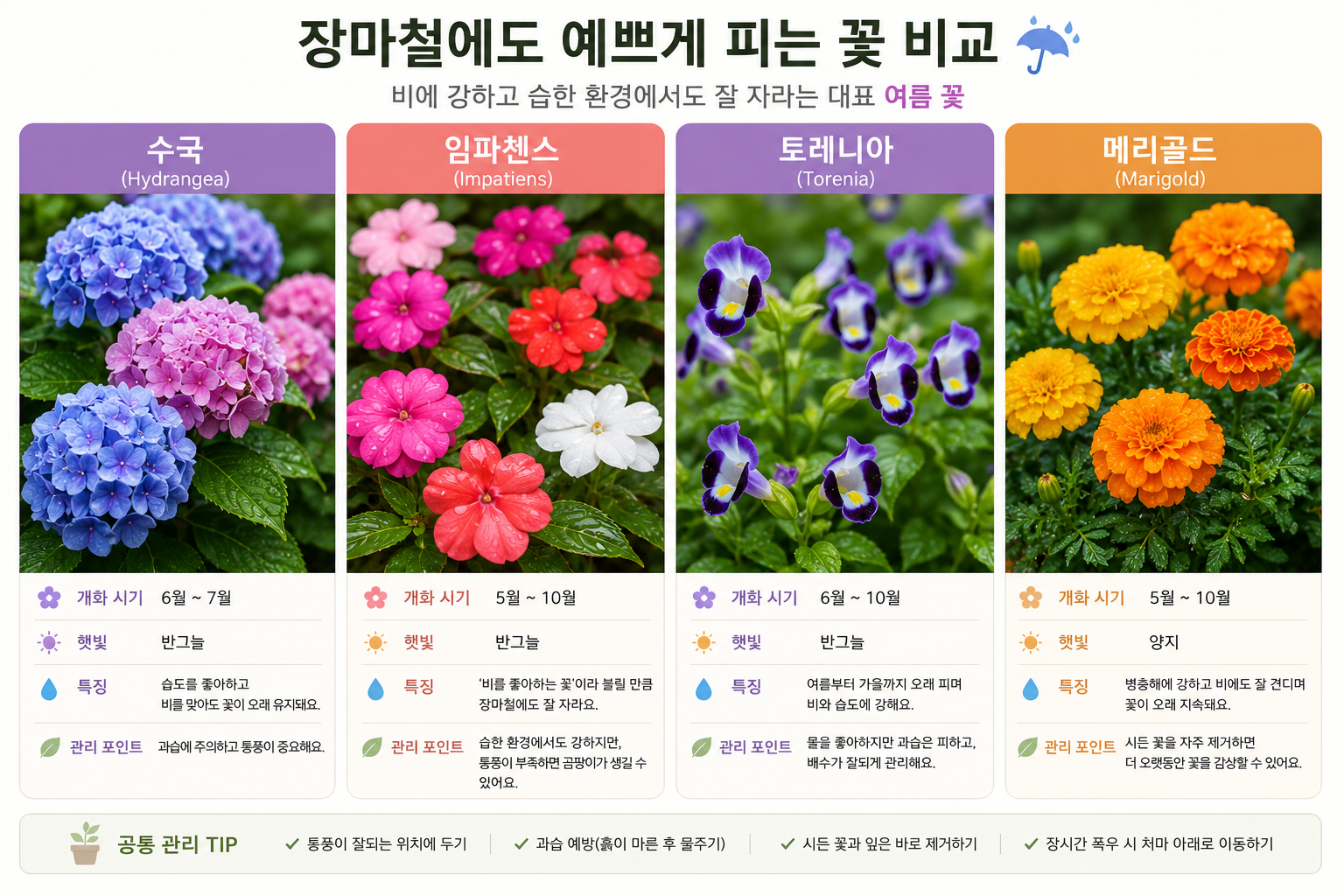 장마철에도 예쁘게 피는 꽃 추천, 비에 강한 꽃과 건강하게 키우는 관리법