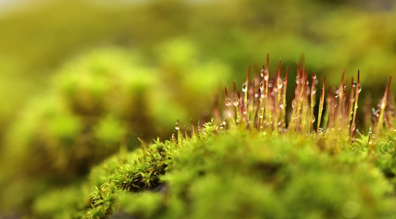 공장 바닥 에폭시