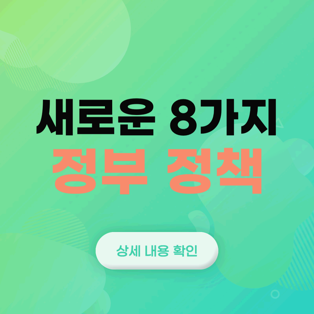 정부 정책 8가지