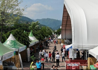 2024 하동 야생차문화축제 일정, 프로그램, 주차장