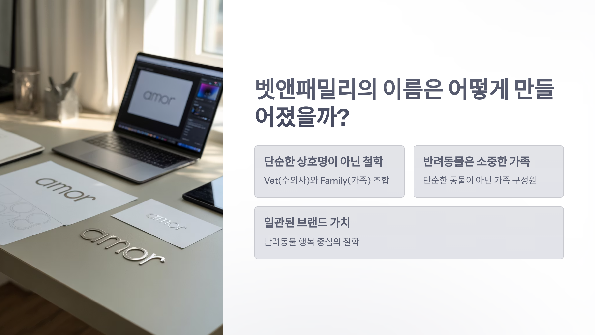 참조-뱃앤패밀리의-뜻-2