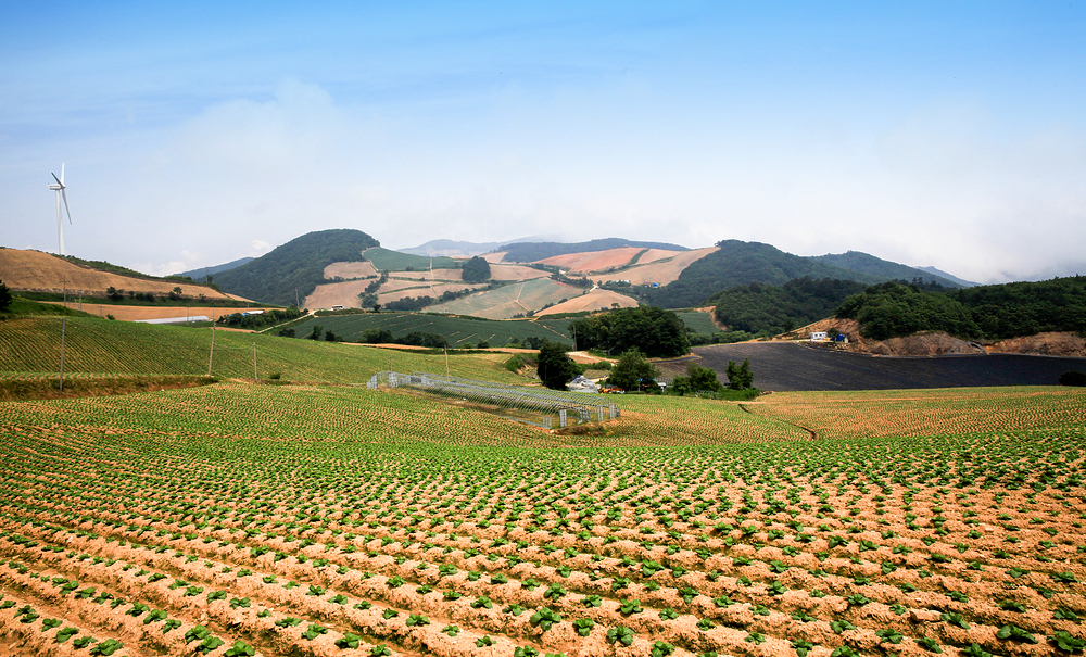 농지 임대차 계약서 무료양식 한글 hwp