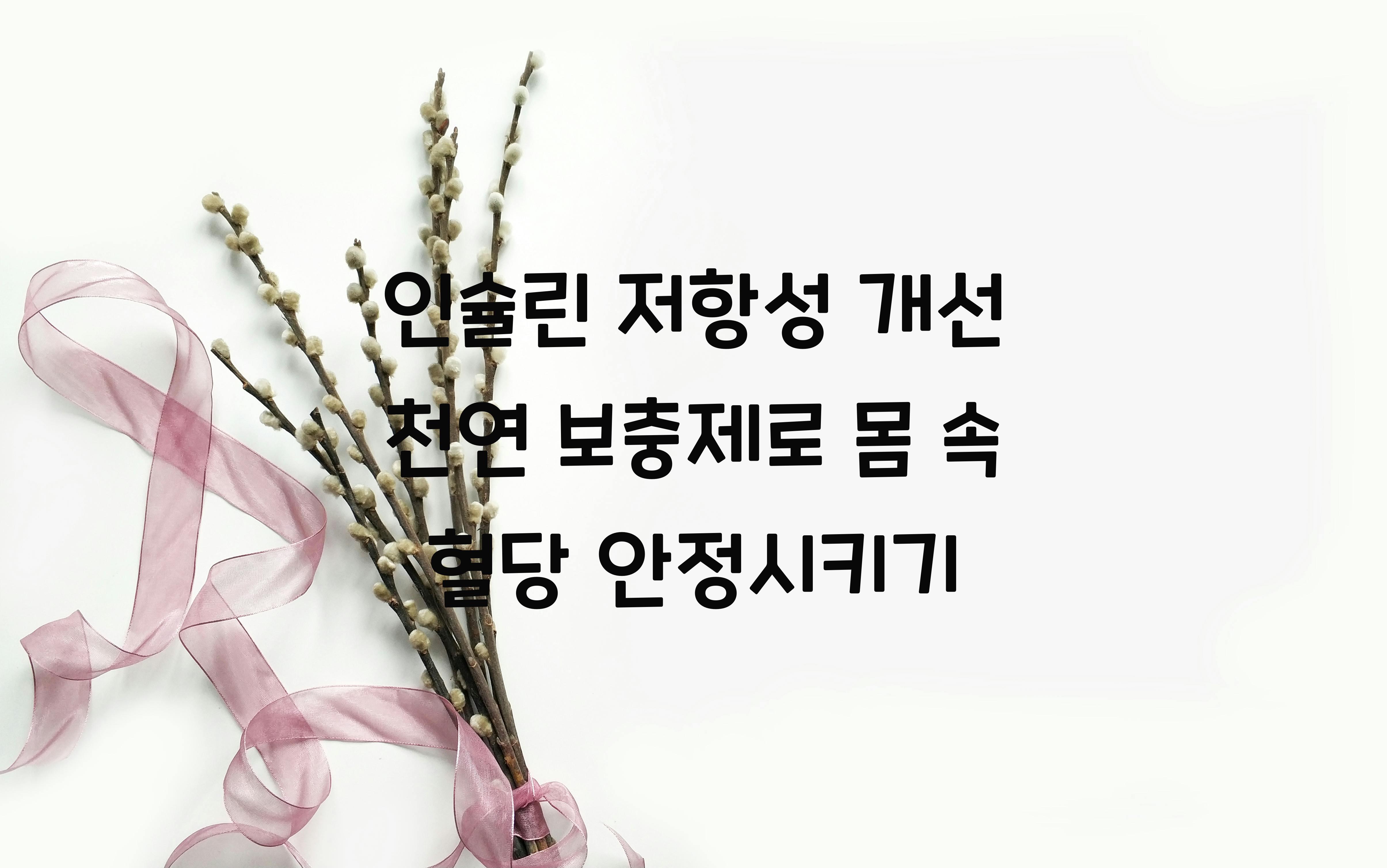 인슐린 저항성 개선 천연 보충제