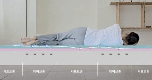 메모리폼 지지력