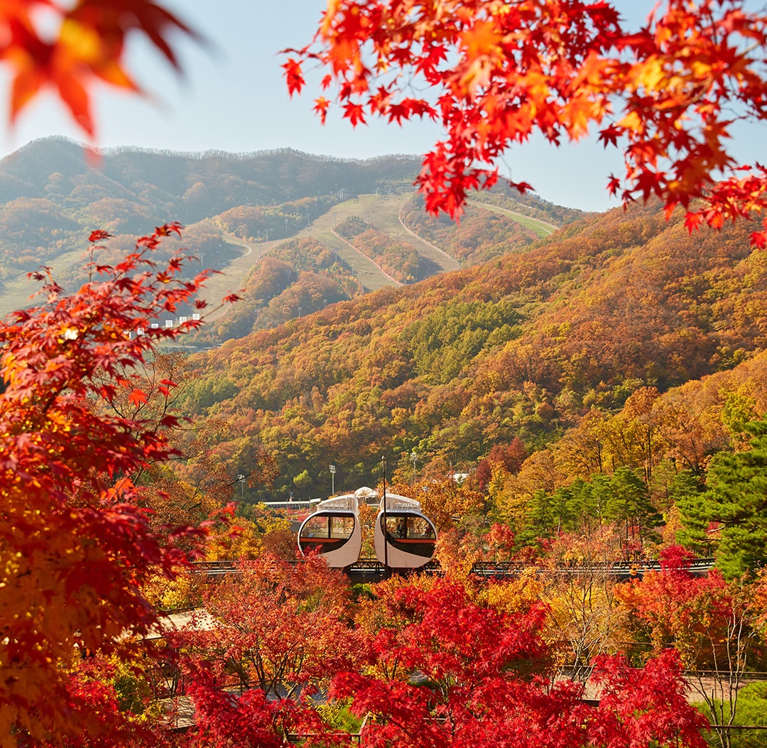 화담숲-단풍축제-이미지