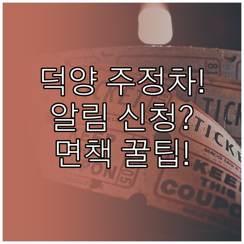 고양시 덕양구 주정차 알림 서비스 신..