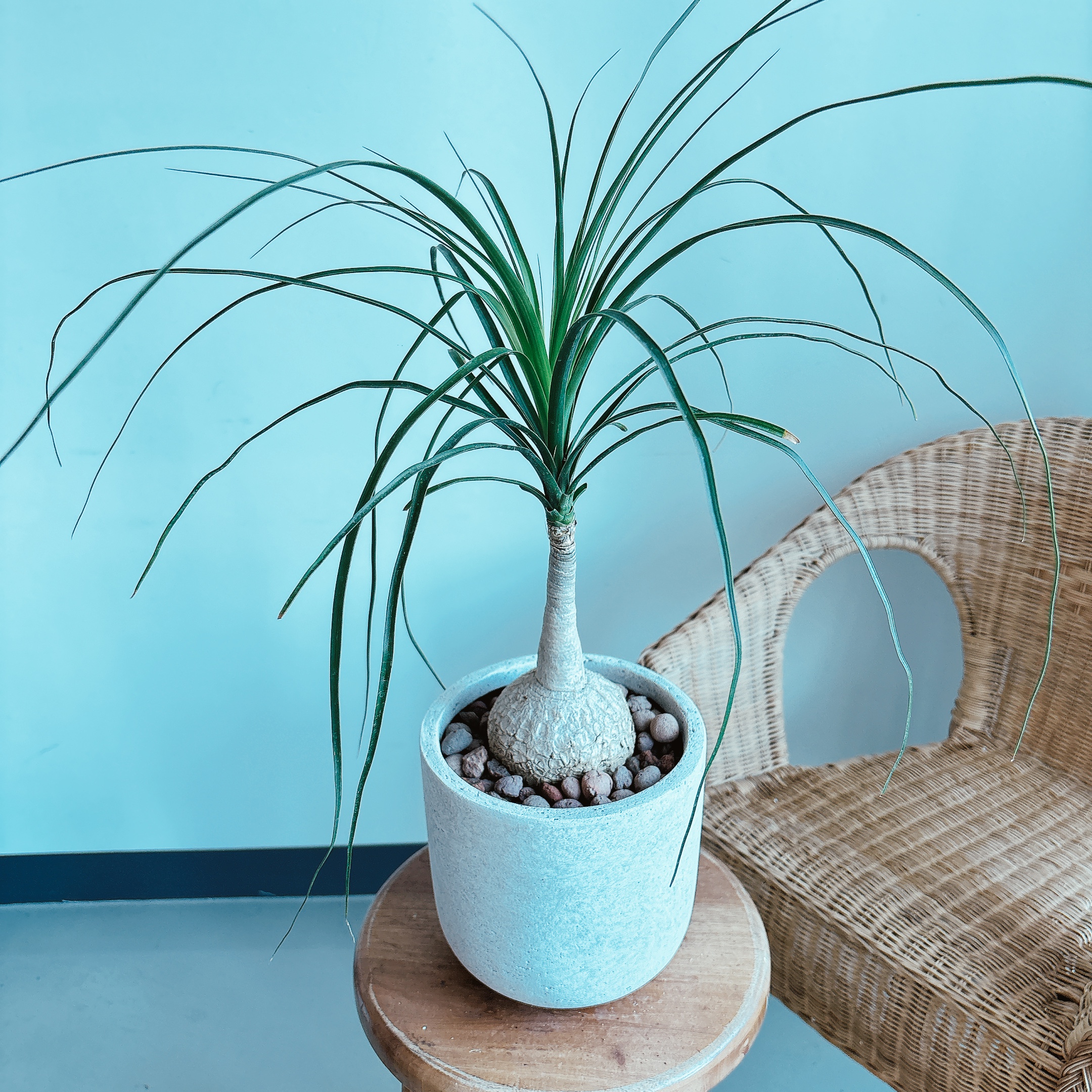 창가-덕구리난-인테리어