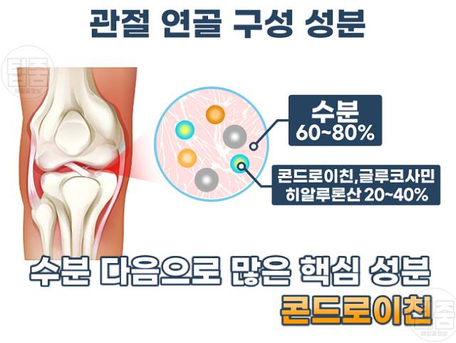 관절영양제 콘드로이친 효능 부작용 권장량 글루코사민 차이