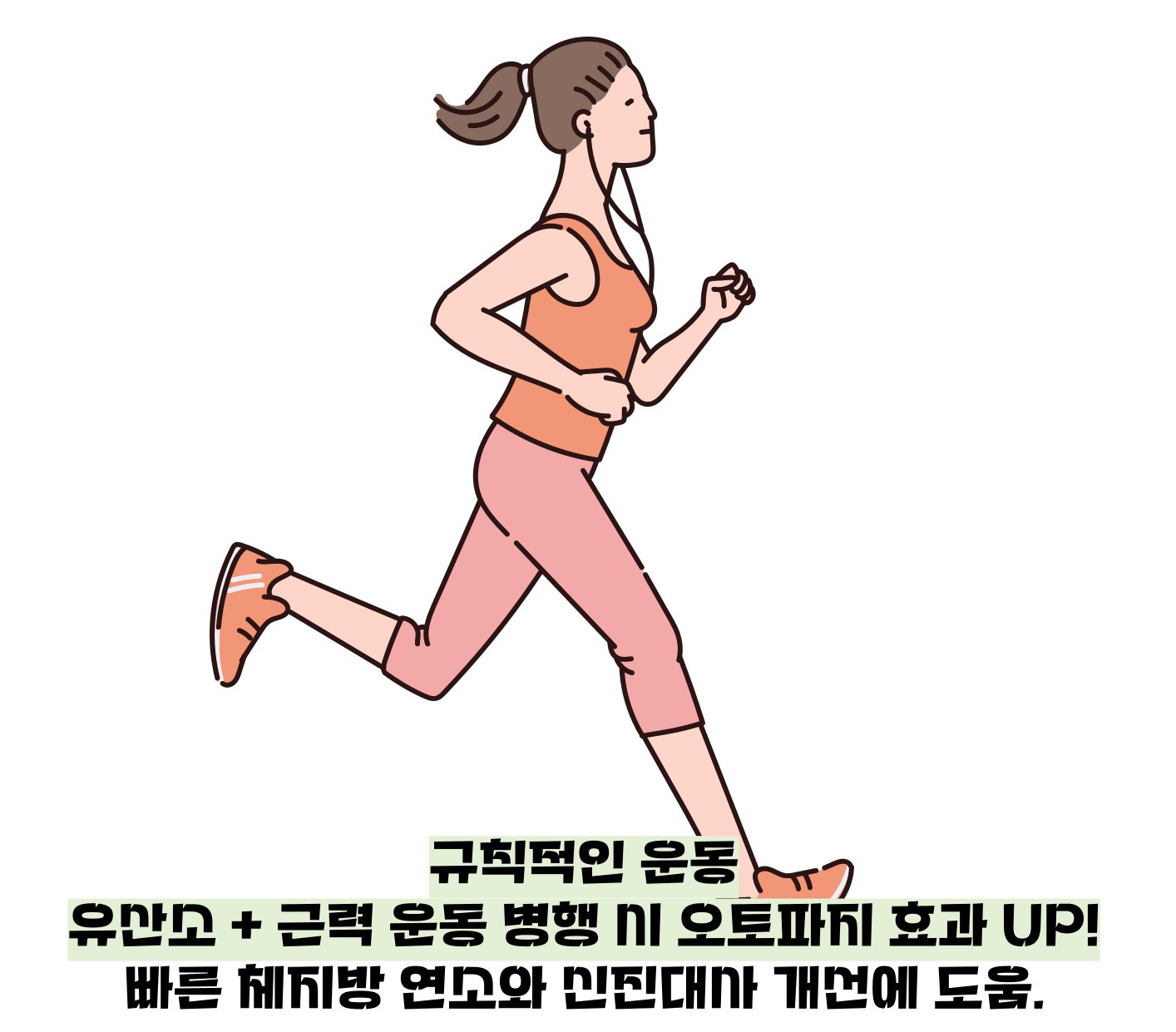 오토파지 다이어트 방법