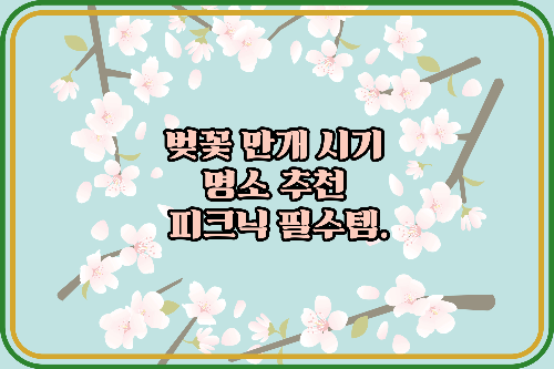 벚꽃 만개 시기 명소 추천 피크닉 필수템