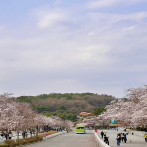 지방 출발 KTX 포함 서울투어 총정리