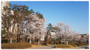 식사중앙공원