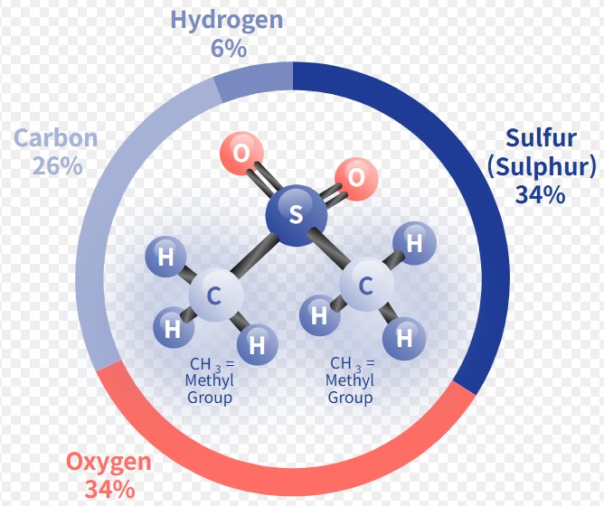 MSM의 숨겨진 부작용