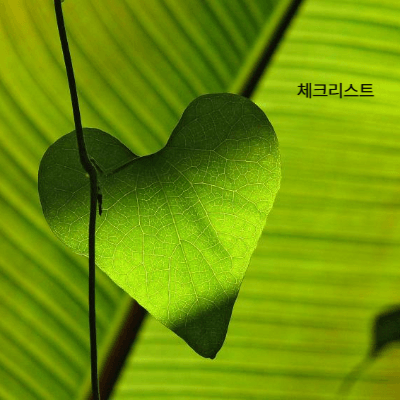 심장검사 보험·실손 청구 가이드 (2025)|보험 적용 기준·청구 절차